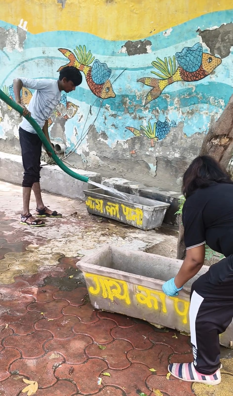 Smyle Squad India Foundation — Water Pots