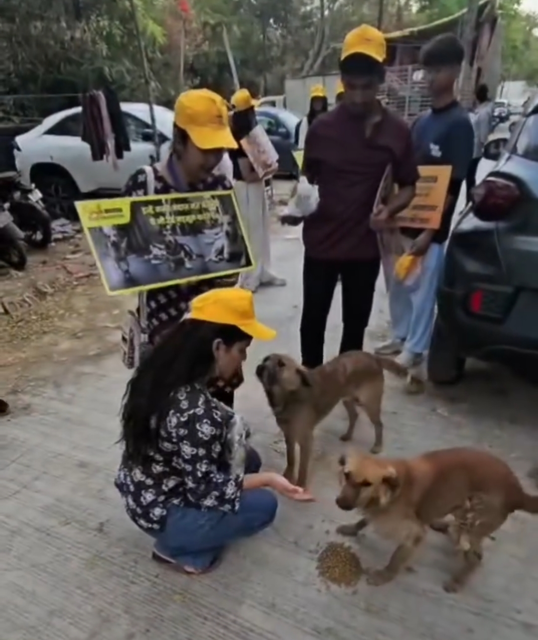 Smyle Squad India Foundation — Animal Welfare Awareness