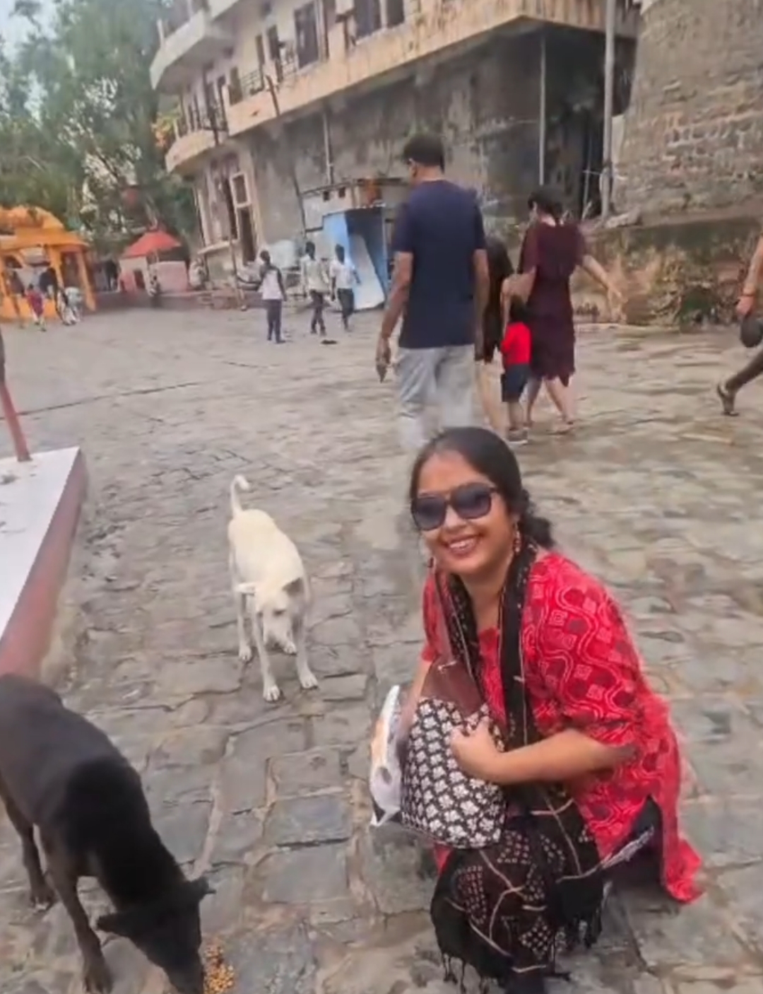 Smyle Squad India Foundation — Animal Feeding