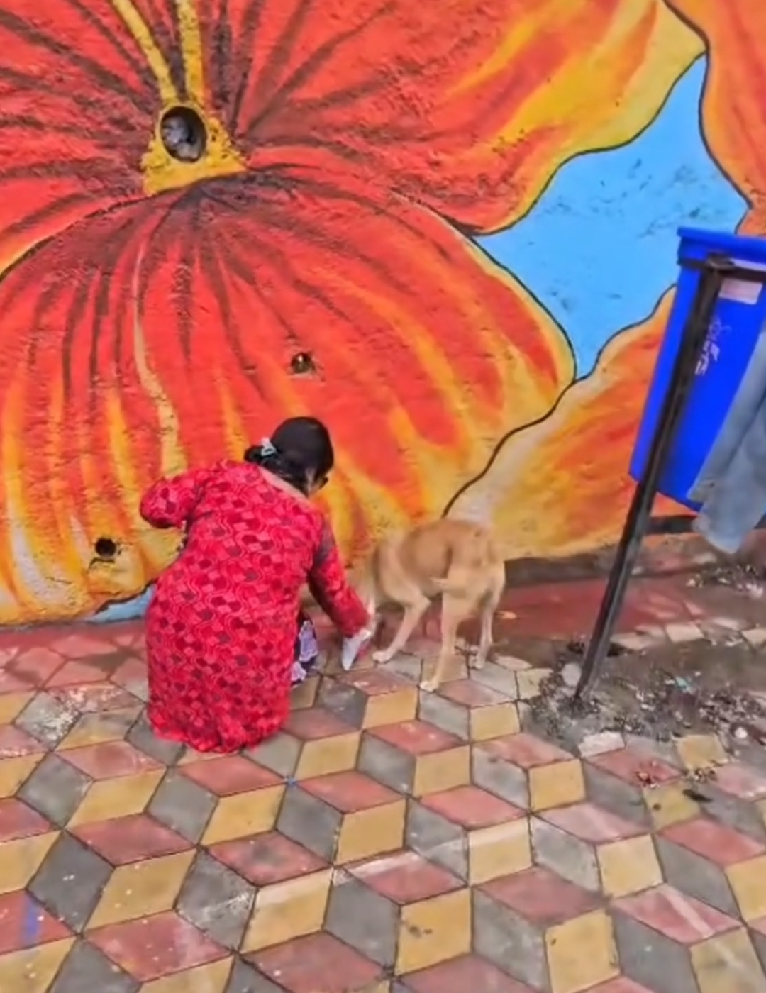 Smyle Squad India Foundation — Animal Feeding