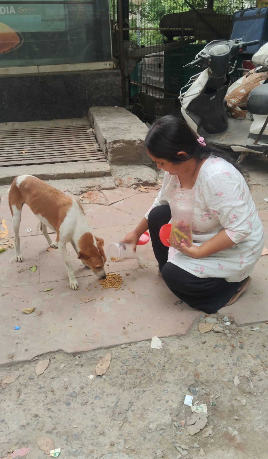 Smyle Squad India Foundation — Animal Feeding